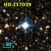 HD 117039