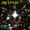 HD 117110