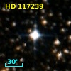 HD 117239