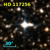 HD 117256