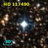 HD 117490