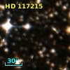 HD 117215