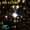 HD 117585