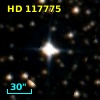 HD 117775