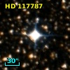 HD 117787