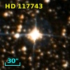 HD 117743