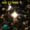 HD 117890