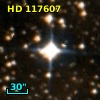 HD 117607