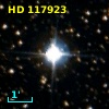 HD 117923