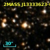 IRAS 13302-6100
