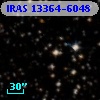 IRAS 13364-6048