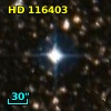 HD 116403