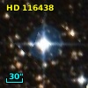 HD 116438