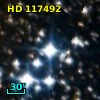 HD 117492