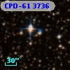 CPD-61  3736