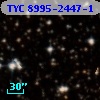 TYC 8995-2447-1