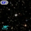 Cl* Hogg   16     VF      23