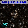 DSH J1333.4-6046