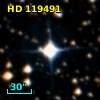 HD 119491