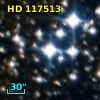 HD 117513