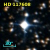 HD 117608