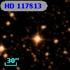 HD 117813