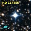 HD 117855