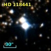 HD 118441