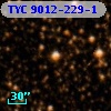 TYC 9012-229-1