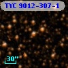 TYC 9012-307-1
