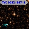 TYC 9012-667-1