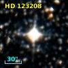 HD 123208