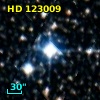 HD 123009