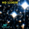 HD 123028