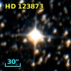 HD 123873