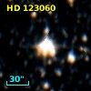 HD 123060