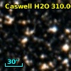 Caswell H2O 310.06-03.04