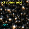 Cl Loden 1002