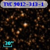 TYC 9012-313-1