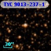 TYC 9013-237-1