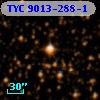 TYC 9013-288-1