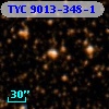 TYC 9013-348-1
