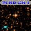 TYC 9013-1256-1