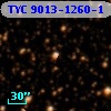 TYC 9013-1260-1