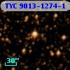 TYC 9013-1274-1