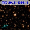 TYC 9013-1309-1