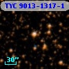 TYC 9013-1317-1