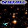 TYC 9016-301-1