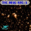 TYC 9016-895-1