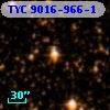 TYC 9016-966-1